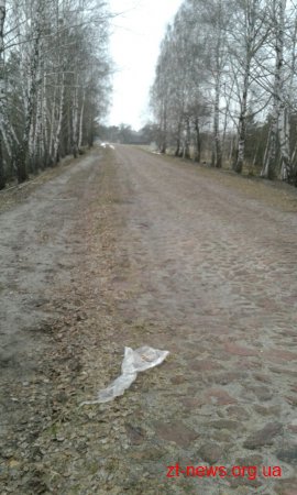 Неподалік українсько-білоруського кордону прикордонники виявили бойові набої