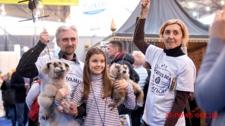 Житомирщину представили на міжнародній туристичній виставці UITT’2018 «Україна – подорожі та туризм»