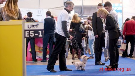 Житомирщину представили на міжнародній туристичній виставці UITT’2018 «Україна – подорожі та туризм»