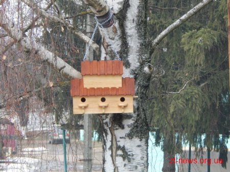 На Житомирщині у птахів - масові новосілля