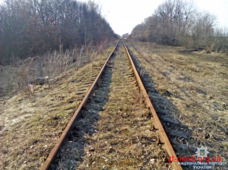 На Житомирщині чоловік викрадав металеві деталі залізничної колії