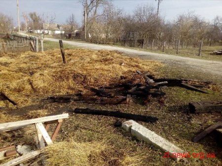 В Житомирській області на дорозі загорілася солома в кузові вантажівки