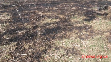 Цього тижня на Коростенщині зафіксували дві пожежі в лісових масивах