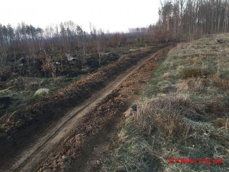Цього тижня на Коростенщині зафіксували дві пожежі в лісових масивах