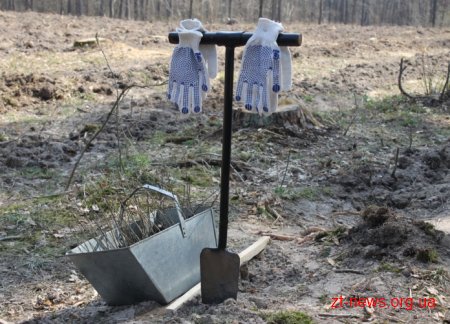 Голова обласної ради долучився до посадки нового лісу