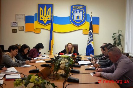 Андрія Шелестюка обрали головою Координаційної ради з питань бюджету участі