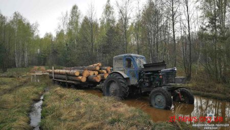 На Житомирщині поліція розслідує крадіжки деревини