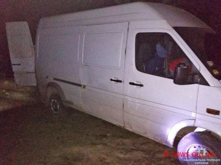На Житомирщині поліція розслідує крадіжки деревини