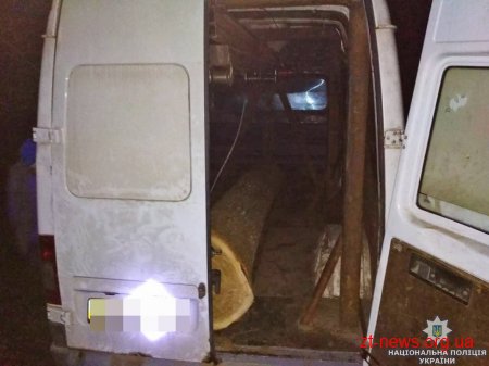 На Житомирщині поліція розслідує крадіжки деревини