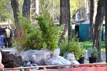 Працівники ОДА висадили алею з ялинок та бузку у Гідропарку