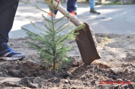 Працівники ОДА висадили алею з ялинок та бузку у Гідропарку
