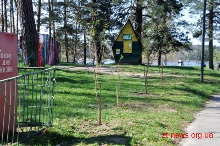 Працівники ОДА висадили алею з ялинок та бузку у Гідропарку