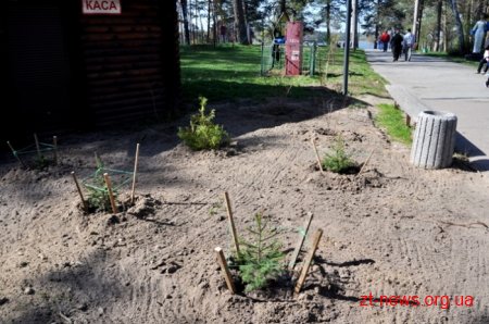 Працівники ОДА висадили алею з ялинок та бузку у Гідропарку