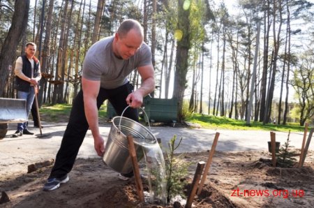 Працівники ОДА висадили алею з ялинок та бузку у Гідропарку