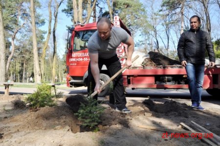 Працівники ОДА висадили алею з ялинок та бузку у Гідропарку