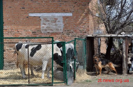 Ігор Гундич обіцяє компенсацію за доїльний апарат домогосподарствам, які утримують 2 та більше корів