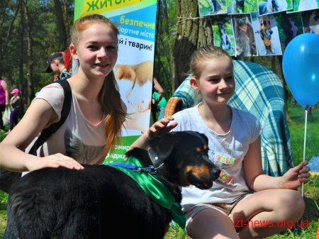 В гідропарку для безпритульних собак шукали нових господарів