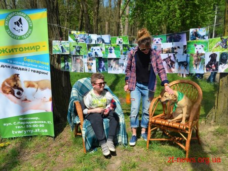 В гідропарку для безпритульних собак шукали нових господарів