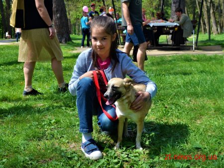 В гідропарку для безпритульних собак шукали нових господарів