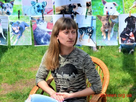 В гідропарку для безпритульних собак шукали нових господарів