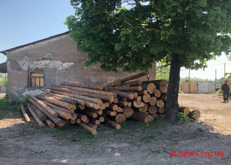 Поліцейські Житомирщини у ході розслідування незаконних вирубок лісу провели півтора десятка обшуків