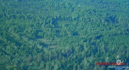Поліцейські Житомирщини у ході розслідування незаконних вирубок лісу провели півтора десятка обшуків