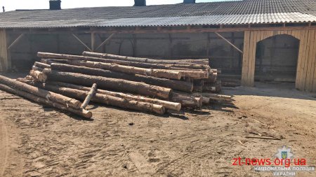 Поліцейські Житомирщини у ході розслідування незаконних вирубок лісу провели півтора десятка обшуків