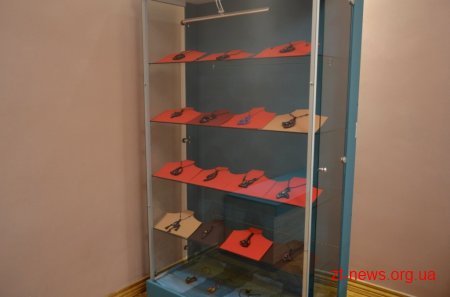 В Домі української культури відкрили виставку «Несу красу»