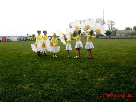 Новий футбольний майданчик зі штучним покриттям з’явився у с. Ставище Брусилівського району
