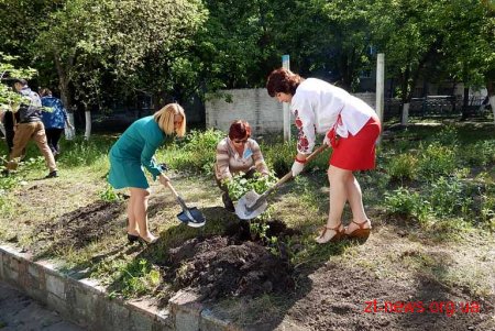 У Житомирі навчали тренерів із національно-патріотичного виховання