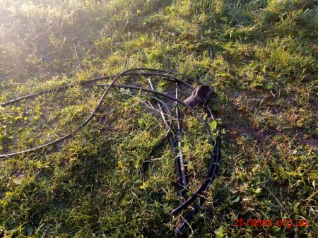 У Бердичеві поліцейські охорони затримали парубка під час крадіжки телефонного кабелю