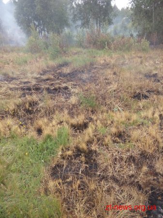 В Олевському районі горів торф на площі 0,05 га