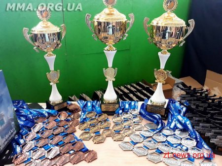 У Житомирі відбувся чемпіонат України зі змішаних єдиноборств ММА