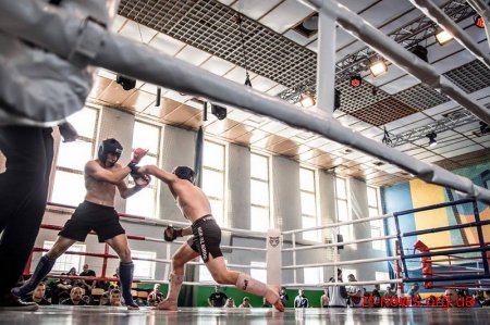 У Житомирі відбувся чемпіонат України зі змішаних єдиноборств ММА