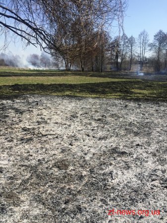 За добу вогнеборцями області ліквідовано 2 загоряння сухої трави та 1 осередок торфу