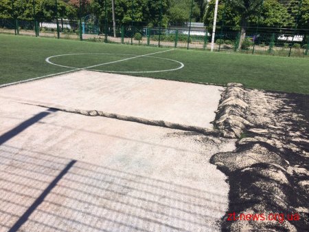 Зі спортивного майданчику поблизу екологічного ліцею №24 викрали штучне покриття