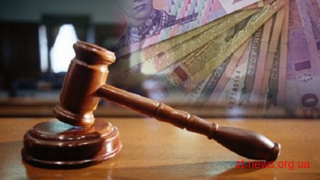Депутата Бердичівської райради, який вчасно не подав інформацію про суттєві зміни в майновому стані оштрафували