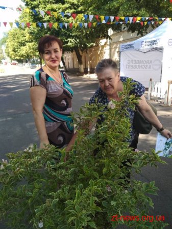 Серед закладів освіти Житомира провели розіграш зелених насаджень