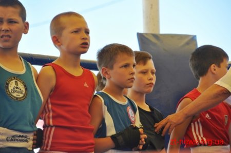 У Житомирі пройшла матчева зустріч з боксу між командами обласного центру та Броварів