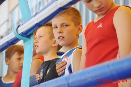 У Житомирі пройшла матчева зустріч з боксу між командами обласного центру та Броварів
