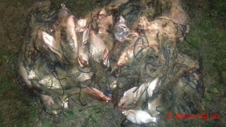 Житомирський рибоохоронний патруль вилучив 96 кг риби