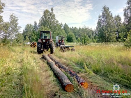 Підпільних лісорубів поліція затримала на Коростенщині