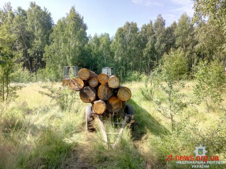 Підпільних лісорубів поліція затримала на Коростенщині