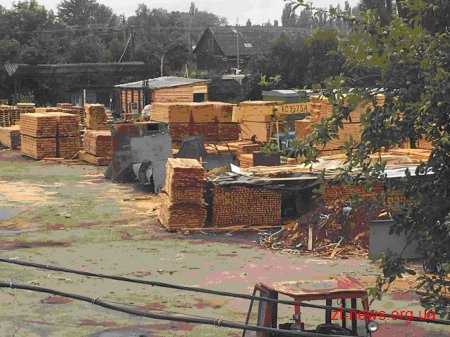 СБУ викрила ділків, які здійснювали незаконні вирубки лісу на території Київської та Житомирської областей