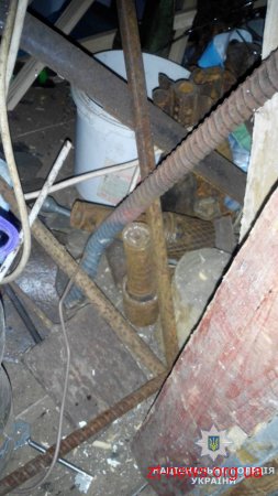 На Житомирщині через вибух воєнного боєприпаса травмувався чоловік
