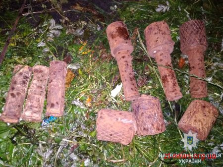 На Житомирщині через вибух воєнного боєприпаса травмувався чоловік