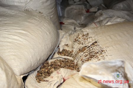 На Житомирщині правоохоронці зупинили автомобіль з 80 мішками бурштину