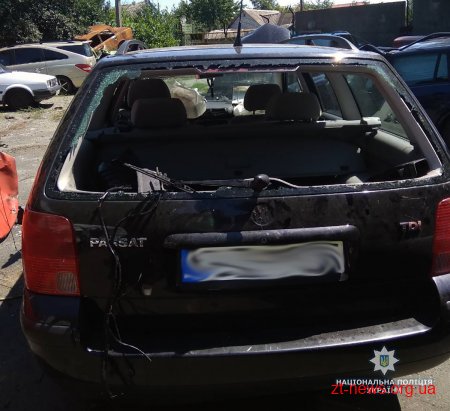 У Малині автомобіль врізався у дерево