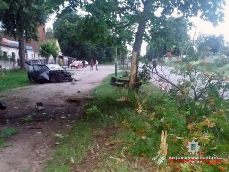 У Малині автомобіль врізався у дерево