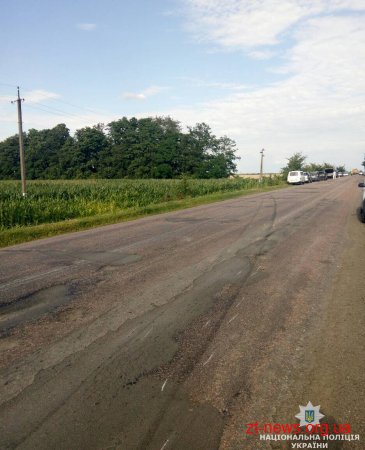 На Житомирщині водій "Peugeot" злетів з дороги та врізався в електроопору